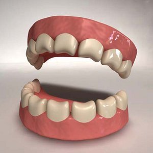 cartoon teeth 3d model