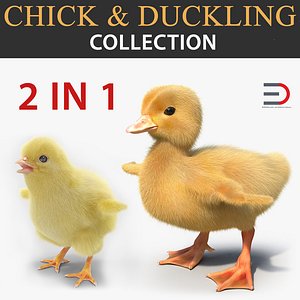 3D chick duckling