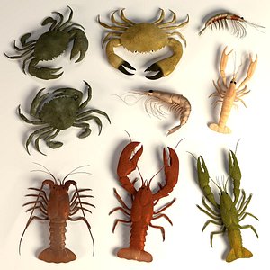 crustacean crabs lobster c4d