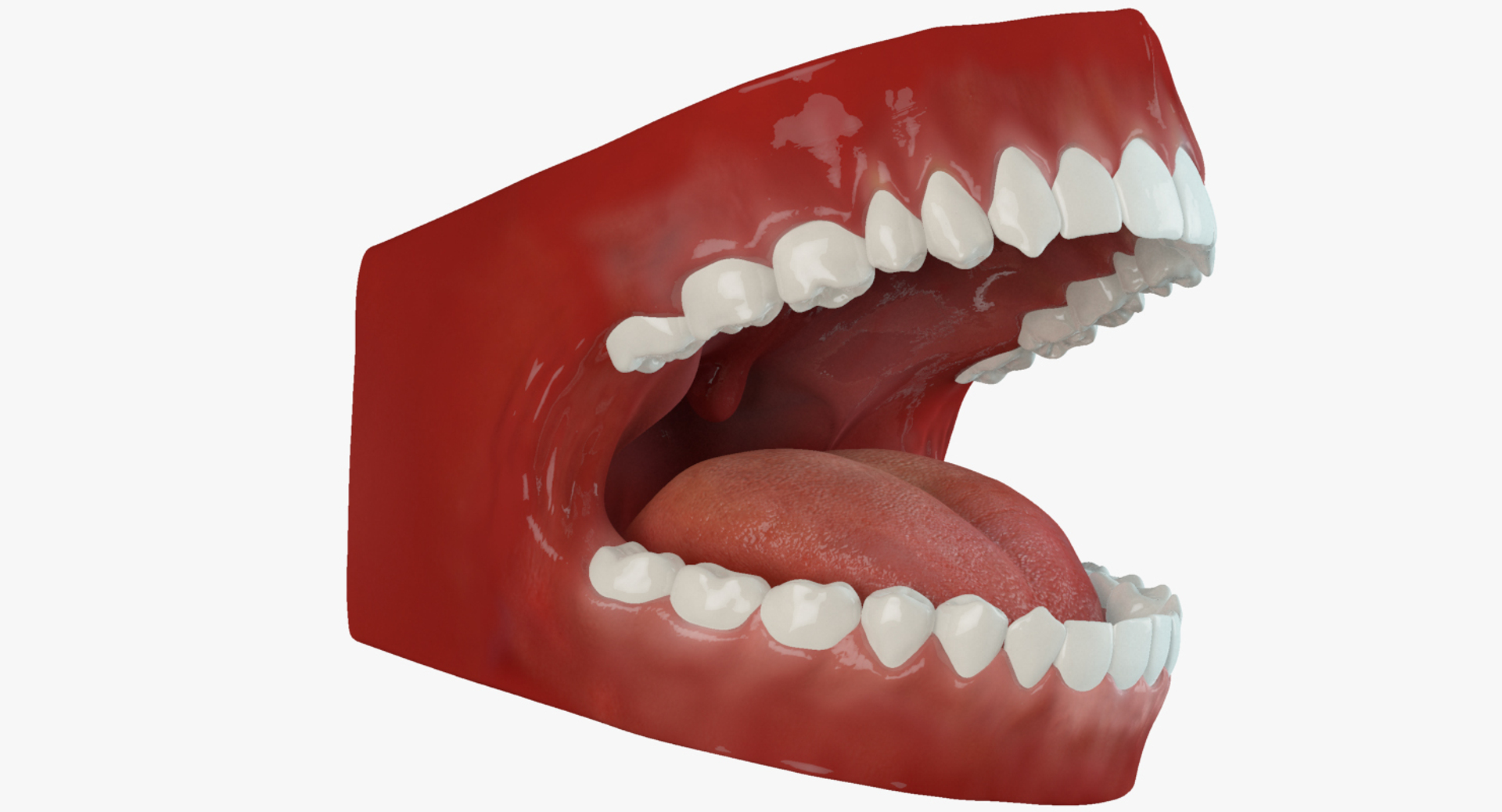 max teeth rigged human https://p.turbosquid.com/ts-thumb/Zs/0BhYhW/vjhwGGfe/mouth_anim/jpg/1428282172/1920x1080/turn_fit_q99/a22431c01ff88e924b94a78553e9490063c07679/mouth_anim-1.jpg