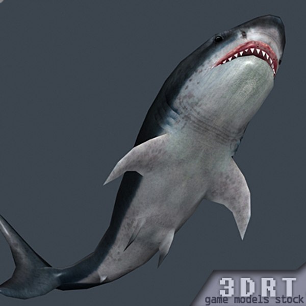 shark jaws 0 3d model