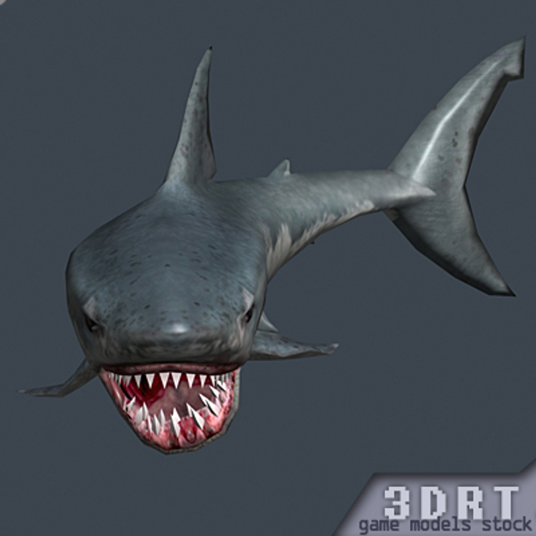shark jaws 0 3d model