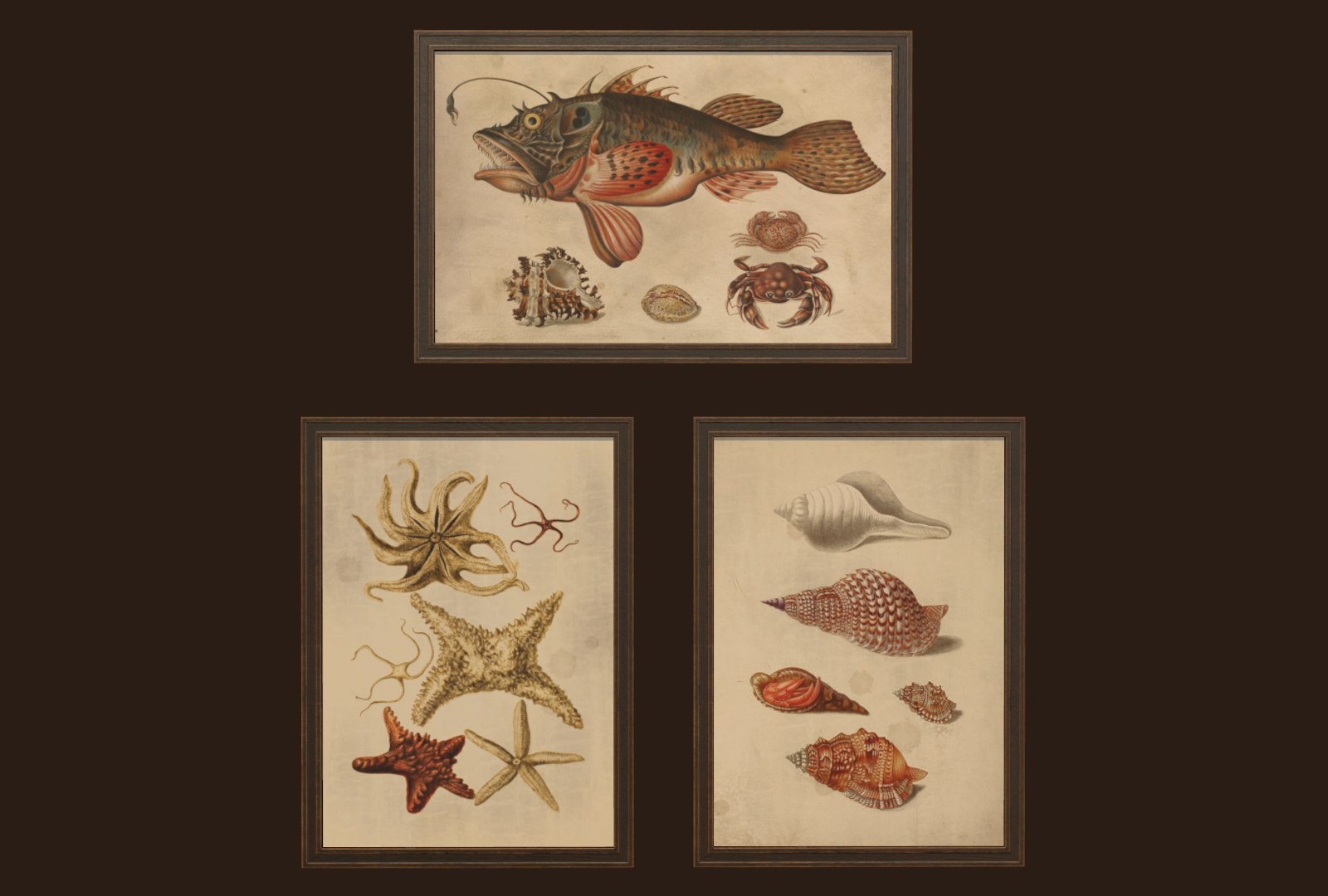 pictures - frame 3D model https://p.turbosquid.com/ts-thumb/Zs/1cvsuA/dA8wxXRF/1/png/1550744811/1920x1080/fit_q87/8c25066edf0f4d49496d0a04a932155861676151/1.jpg