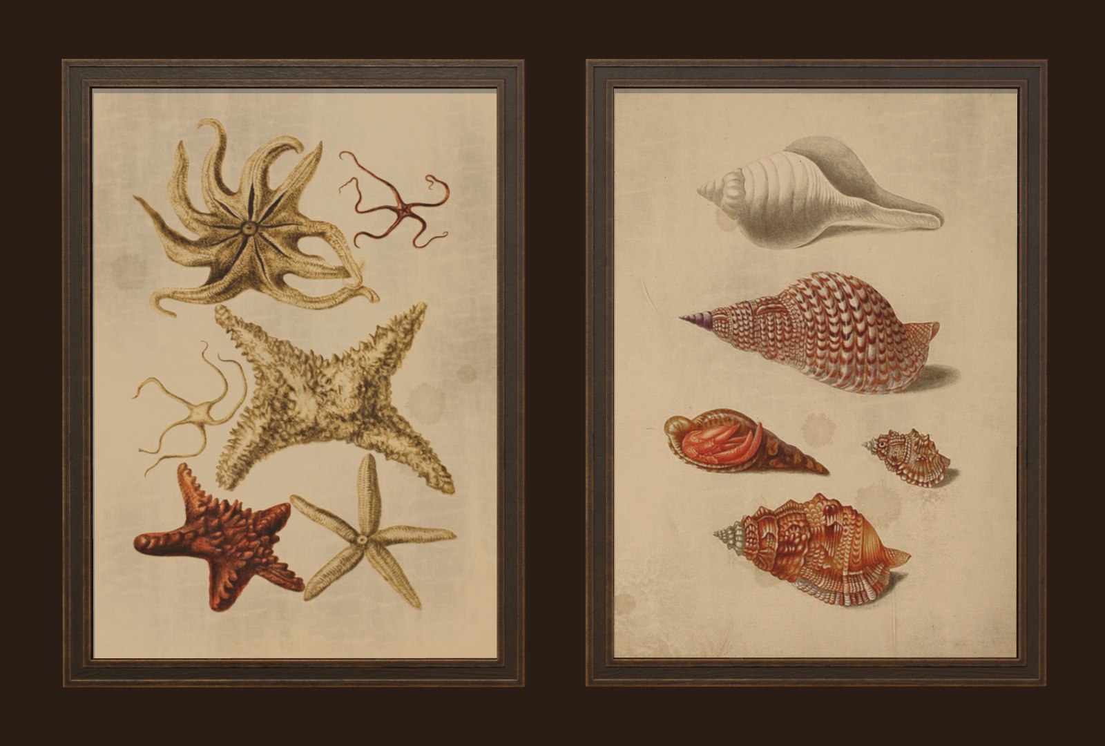 pictures - frame 3D model https://p.turbosquid.com/ts-thumb/Zs/1cvsuA/qmLNlYQ7/3/png/1550744831/1920x1080/fit_q87/83fd2b796d407ecfdfea143a2161fc459d802530/3.jpg