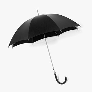 Umbrella Open