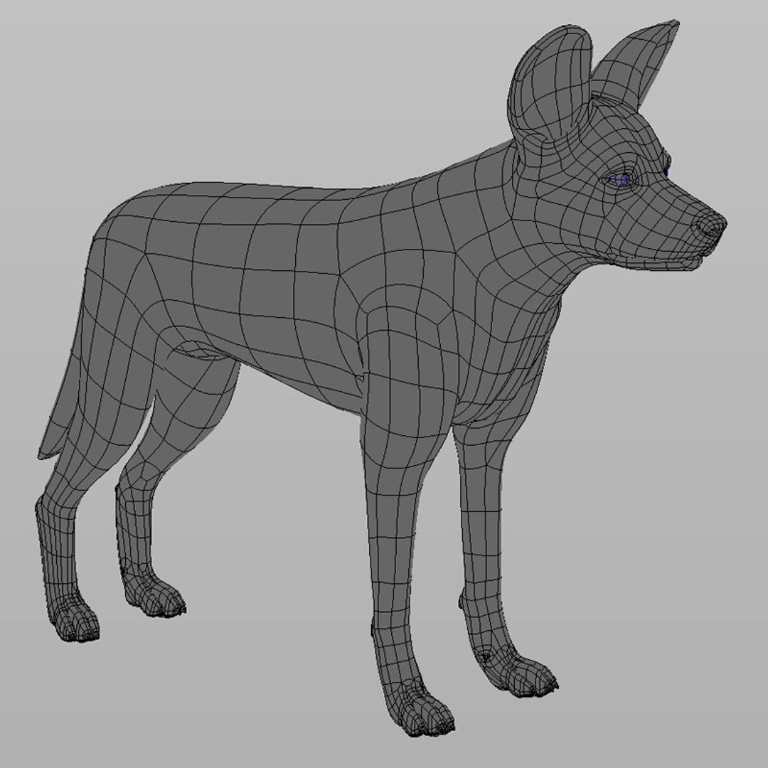 3d Model Realistic African Wild Dog