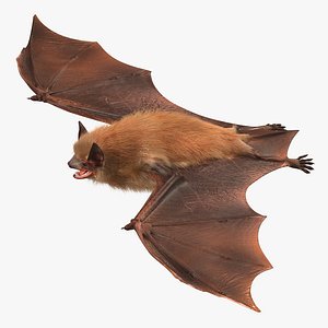 Bat with Fur