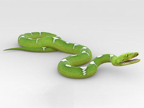 3D Green Python