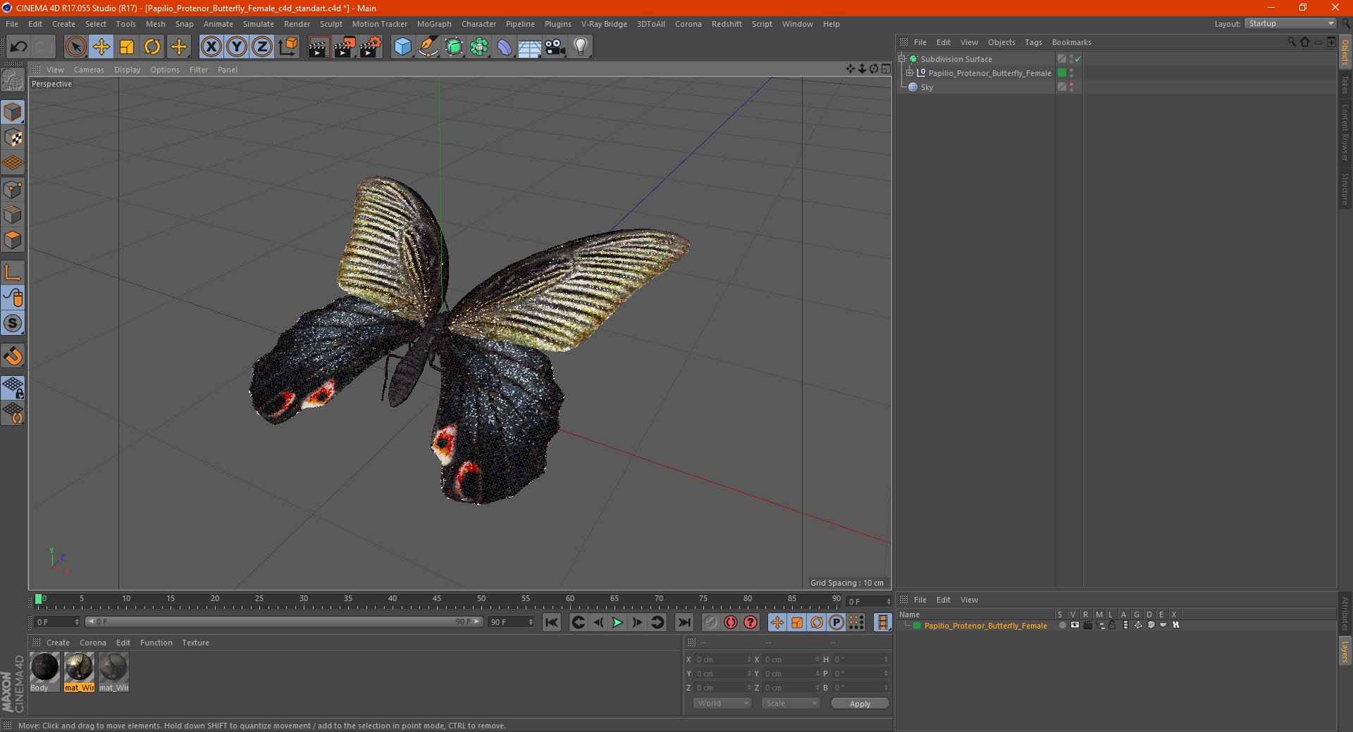 Papilio Protenor Butterfly Female model https://p.turbosquid.com/ts-thumb/Zs/F80qNR/C7/papilioprotenorbutterflyfemalec4dmodel032/jpg/1631081780/1920x1080/fit_q87/fc5b41c5d1cd421f02ecca82e8228a1827e18ae9/papilioprotenorbutterflyfemalec4dmodel032.jpg