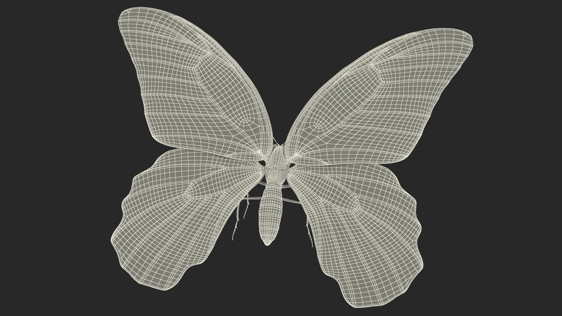 Papilio Protenor Butterfly Female model https://p.turbosquid.com/ts-thumb/Zs/F80qNR/dU/papilioprotenorbutterflyfemalec4dmodel023/jpg/1631081765/1920x1080/fit_q87/03d42e3bf7a750af4e9c9e86456a4f8623c8cbbc/papilioprotenorbutterflyfemalec4dmodel023.jpg