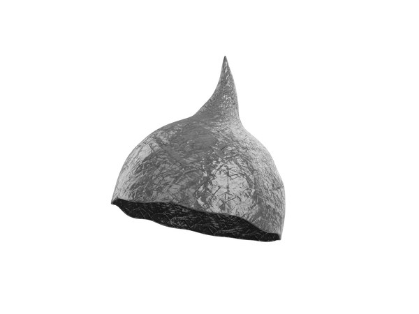 3D Foil Hat model - TurboSquid 1822861