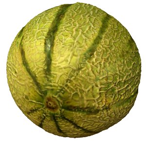 melon fruit 3d model