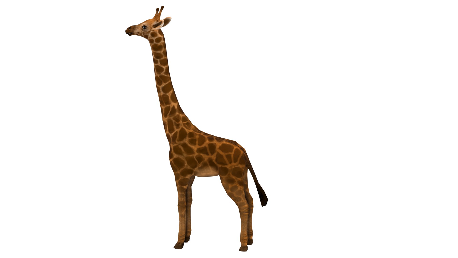 Giraffe Rig High-poly Textured 3D - TurboSquid 2345732