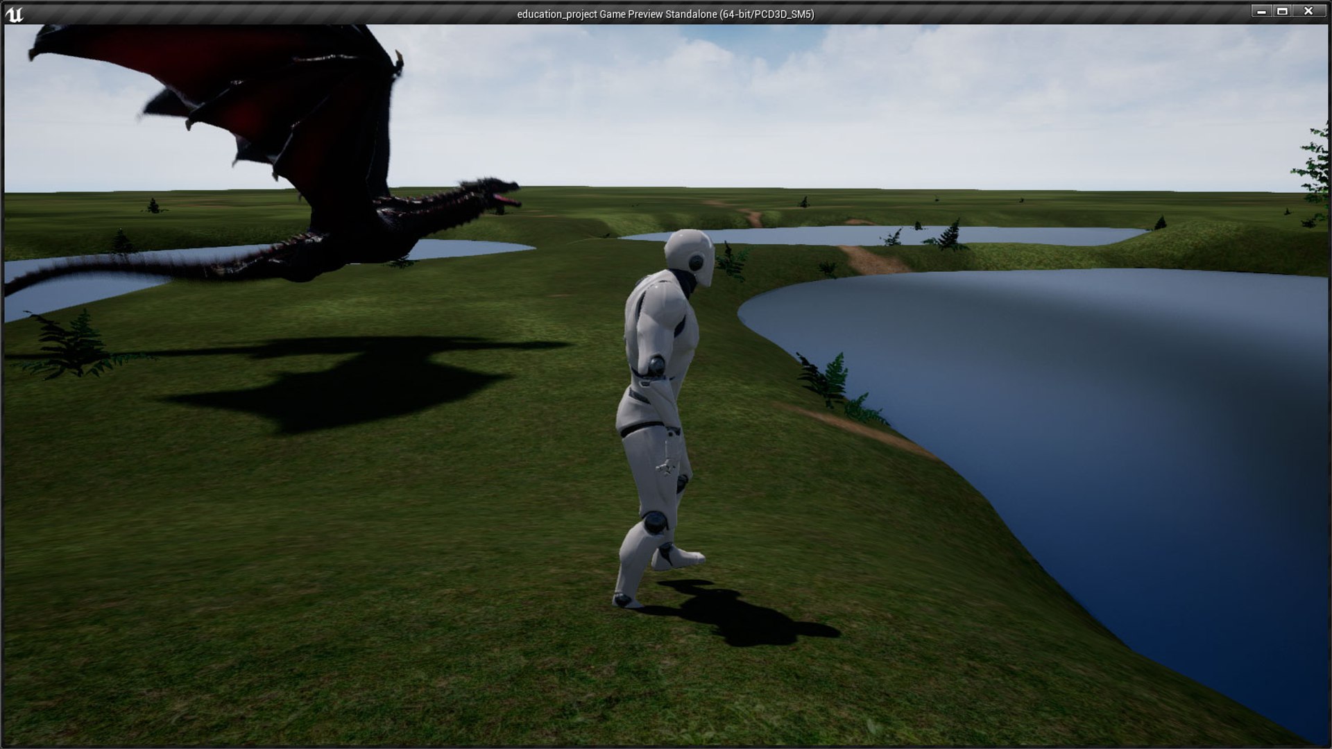 3D fly animation https://p.turbosquid.com/ts-thumb/Zs/UXDdrZ/TVkOLSZZ/ue_4_22_3_screen7/jpg/1572977882/1920x1080/fit_q87/c29a45143cde053de56f058781c3e2f370582184/ue_4_22_3_screen7.jpg