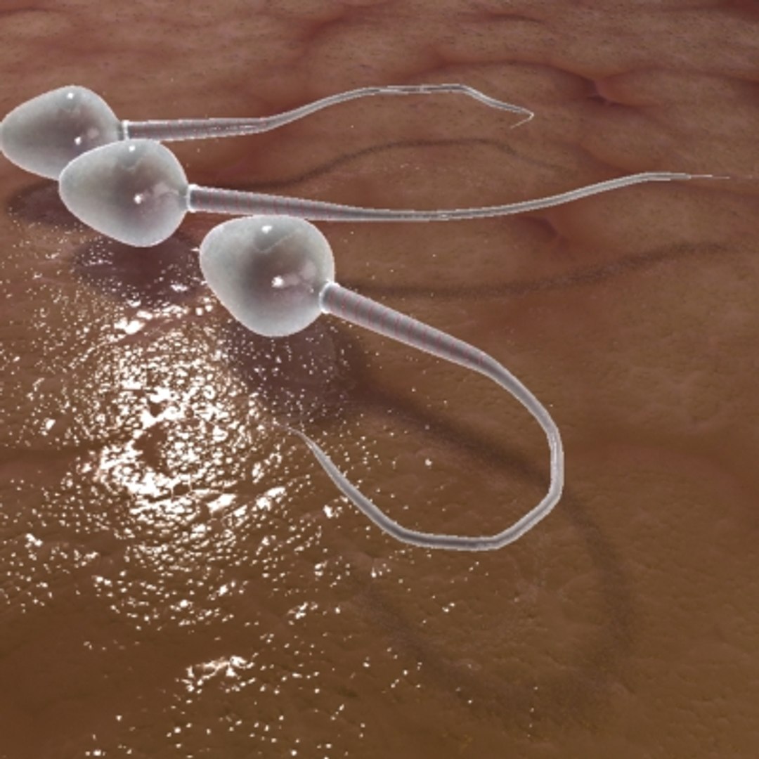 micro objects 3d max https://p.turbosquid.com/ts-thumb/Zs/s7jFZ4/2UFv4Syq/0035/jpg/1266152044/1920x1080/fit_q87/c6b8ada709962812f6fcf08e68b3fa29dde1a7f7/0035.jpg