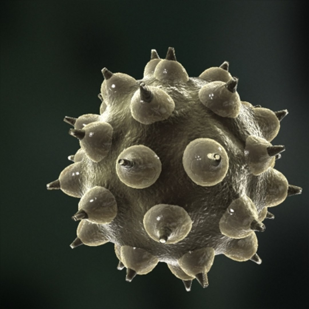 micro objects 3d max https://p.turbosquid.com/ts-thumb/Zs/s7jFZ4/7j2py8wP/0034/jpg/1266152039/1920x1080/fit_q87/466a72a0cd097ff7f7dd3e499e3fcfb1aa1dc771/0034.jpg