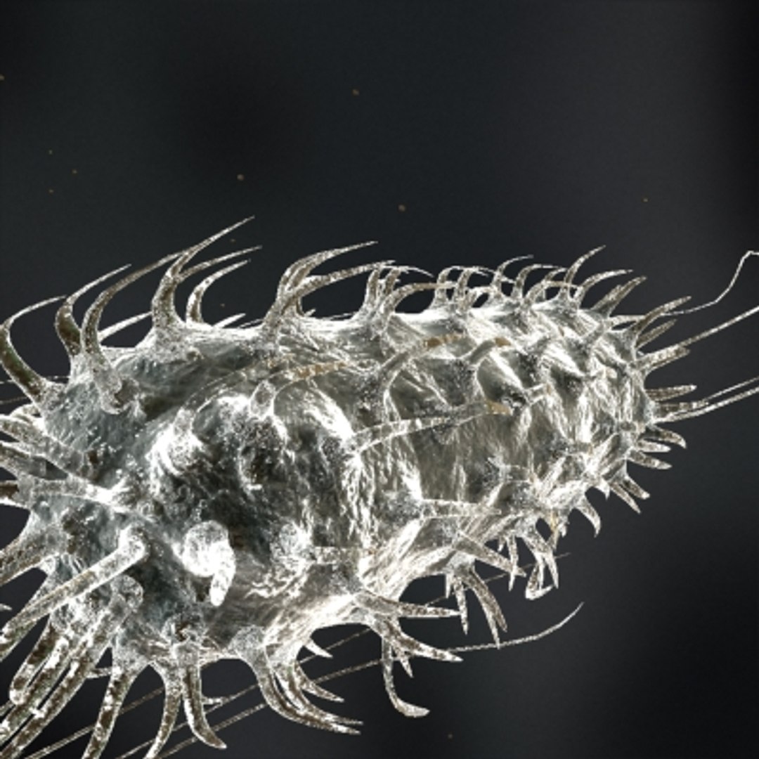 micro objects 3d max https://p.turbosquid.com/ts-thumb/Zs/s7jFZ4/CGUCSnt3/0058/jpg/1266152178/1920x1080/fit_q87/8ec90b4585403b1cf5ce7fdabcae5a48d7414466/0058.jpg