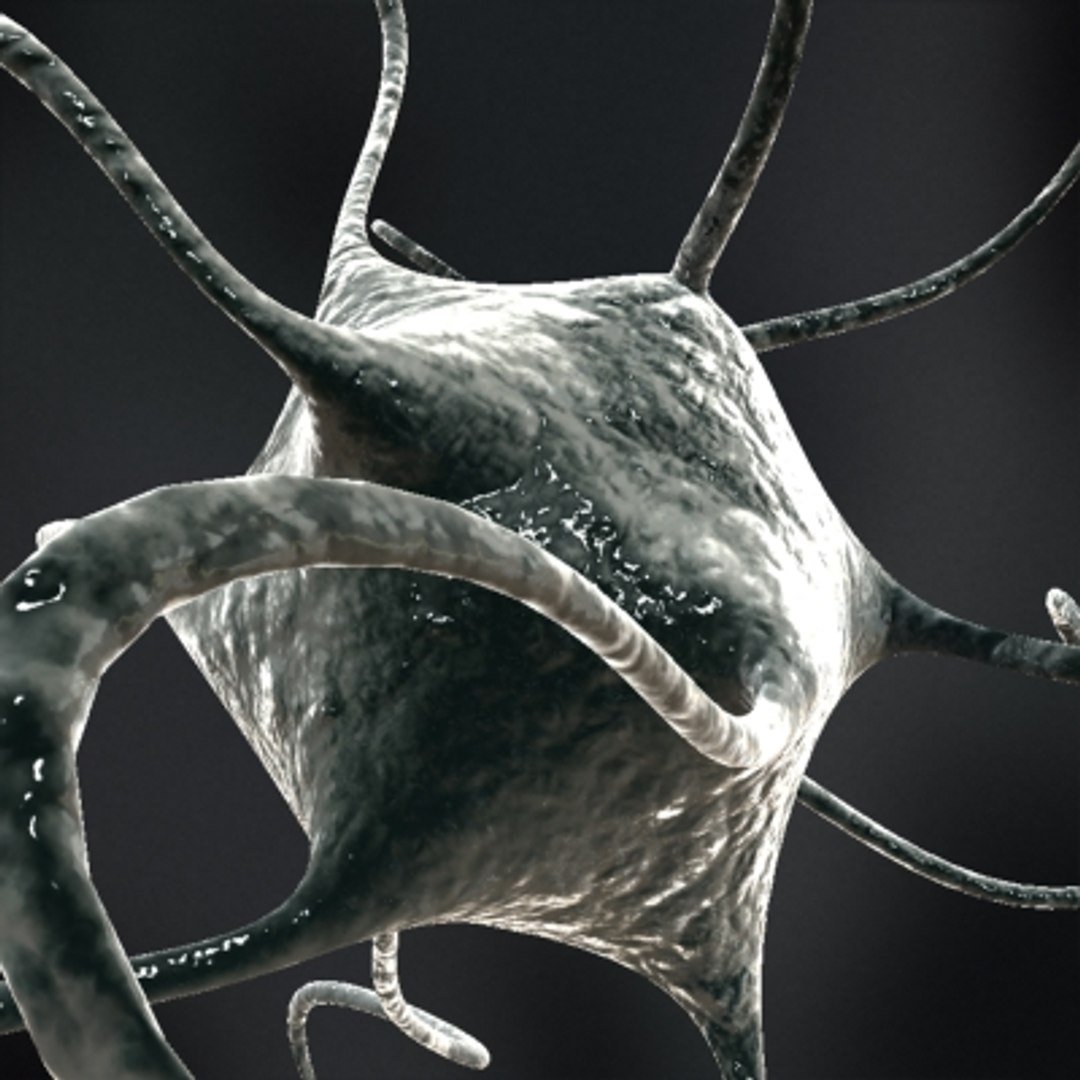 micro objects 3d max https://p.turbosquid.com/ts-thumb/Zs/s7jFZ4/IPAJlmbz/0047/jpg/1266152126/1920x1080/fit_q87/eb5935a530bed324bb6bfaf8233fae46a4def32f/0047.jpg