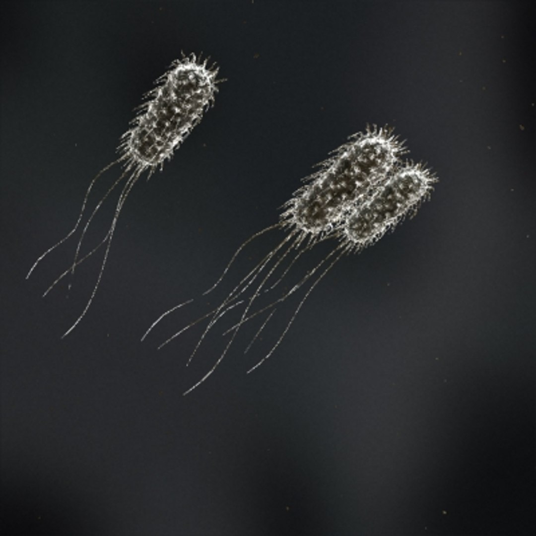 micro objects 3d max https://p.turbosquid.com/ts-thumb/Zs/s7jFZ4/JnLwNbxw/0053/jpg/1266152161/1920x1080/fit_q87/c6b89604e1a18c2f8aecc205c0154f0218239470/0053.jpg