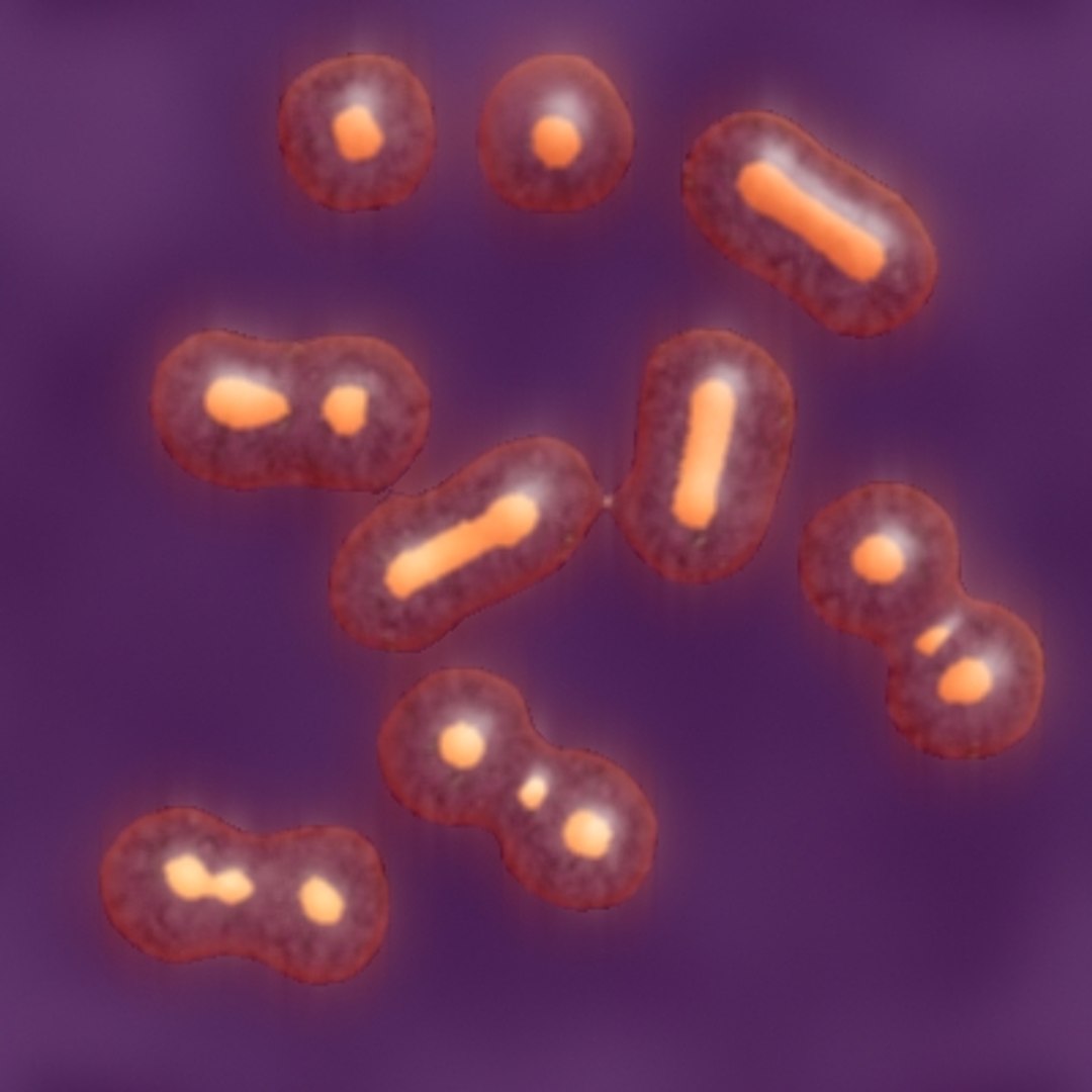 micro objects 3d max https://p.turbosquid.com/ts-thumb/Zs/s7jFZ4/LzfUAxXB/0007/jpg/1266151917/1920x1080/fit_q87/7a66406db08cd131a125c38c48018fa1e44b7d25/0007.jpg