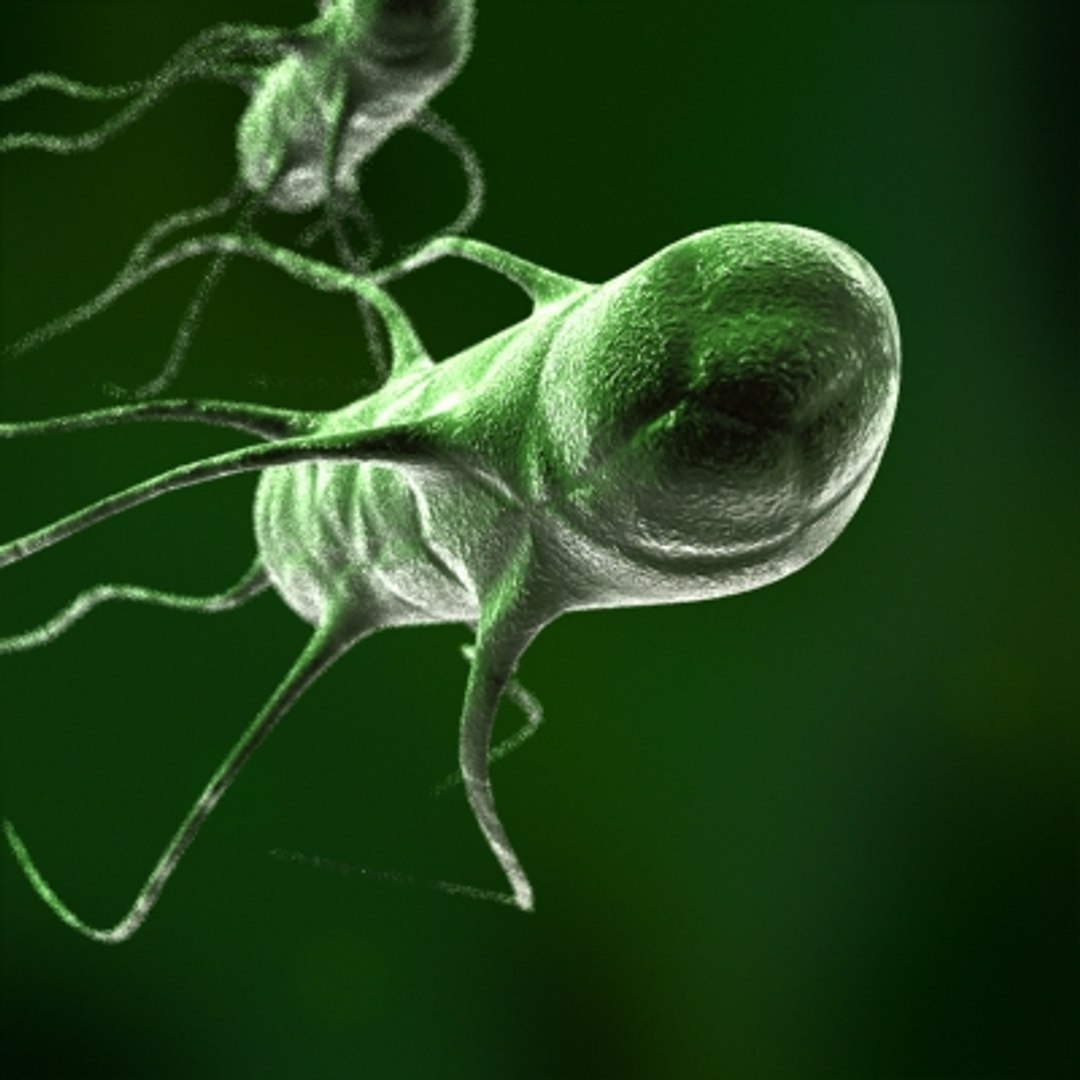 micro objects 3d max https://p.turbosquid.com/ts-thumb/Zs/s7jFZ4/XaYZCxSj/0020/jpg/1266151977/1920x1080/fit_q87/925c26fca1a8281995dc9cc90f2a8e9ada9309a8/0020.jpg