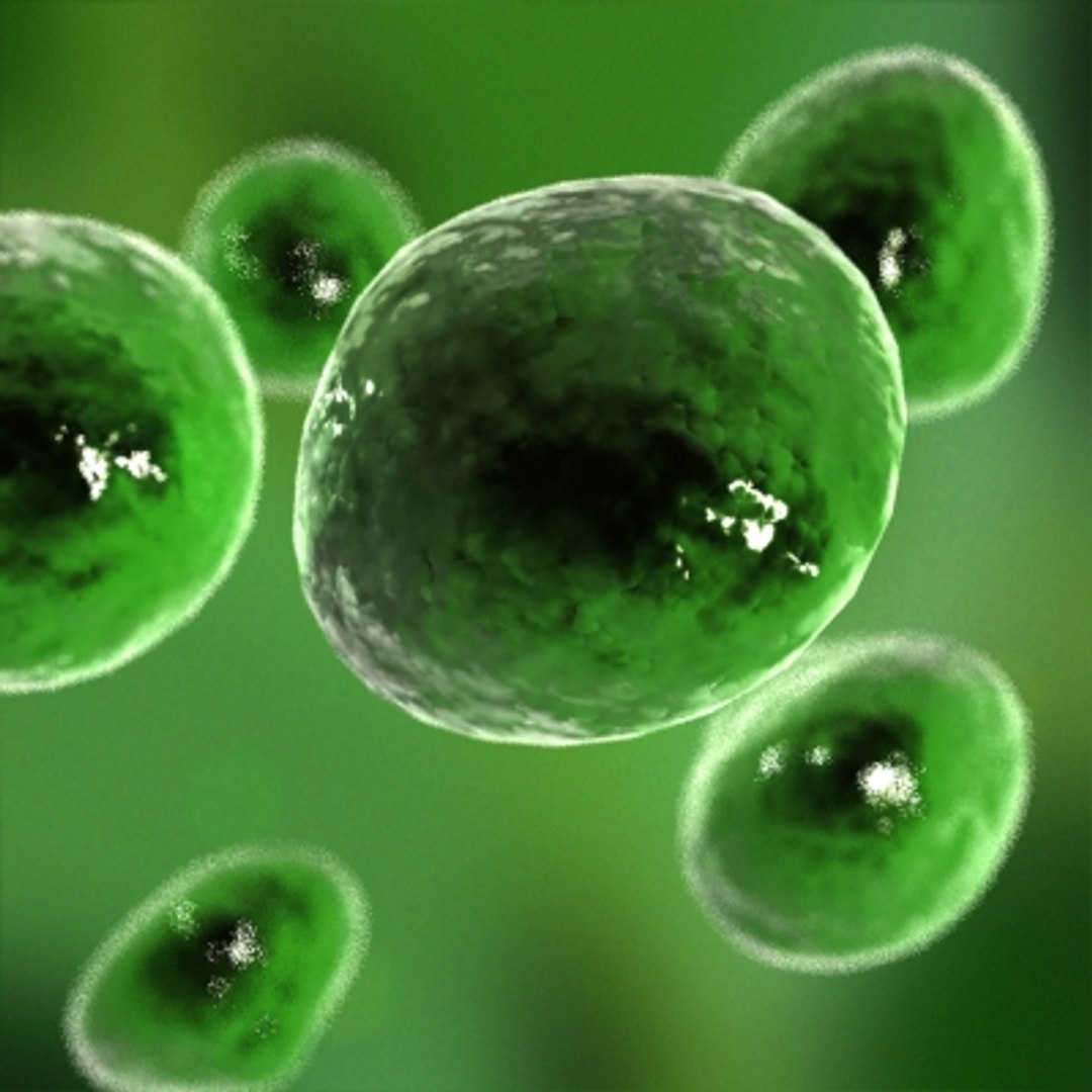 micro objects 3d max https://p.turbosquid.com/ts-thumb/Zs/s7jFZ4/ZwGuhp9V/0002/jpg/1266151895/1920x1080/fit_q87/0f89fd925db9b59d5b40a284b35bf06340940afd/0002.jpg