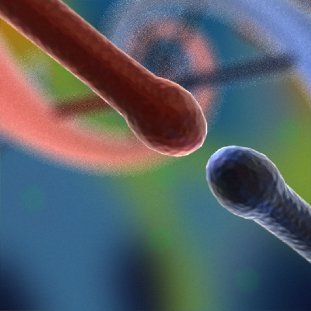 micro objects 3d max https://p.turbosquid.com/ts-thumb/Zs/s7jFZ4/tzub5oM4/0032/jpg/1266152030/1920x1080/fit_q87/6355f2887f5ed5dbf0568585b7a71108b4d71ea5/0032.jpg