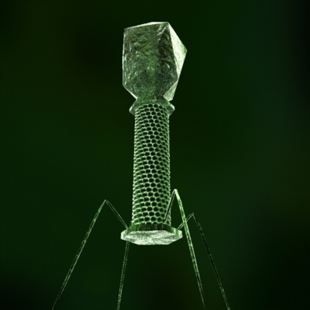 micro objects 3d max https://p.turbosquid.com/ts-thumb/Zs/s7jFZ4/urn3nkiG/0012/jpg/1266151941/1920x1080/fit_q87/86113e5bf26ca52b6de4245f5ce897c7b8d2146b/0012.jpg