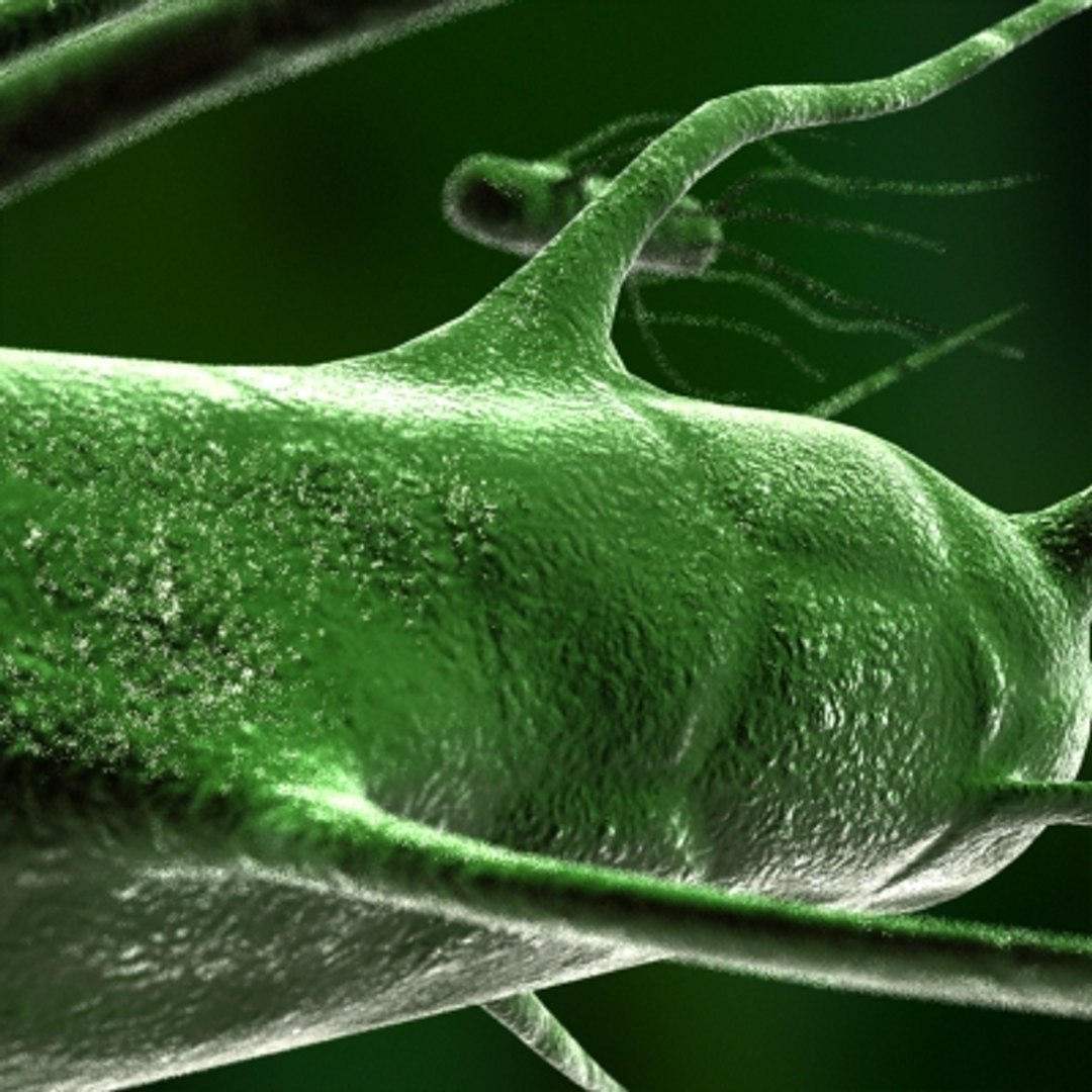 micro objects 3d max https://p.turbosquid.com/ts-thumb/Zs/s7jFZ4/x7EoC4N9/0044/jpg/1266152100/1920x1080/fit_q87/478dae99f7d373fea9c25fd5cf241d5278c43f1b/0044.jpg