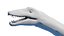 3D elasmosaurus