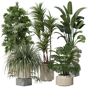 3D Indoor plants set