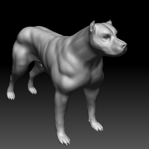 Pitbull 3D Models for Download | TurboSquid