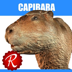 Minecraft Capybara - 3D model by KaerthModels (@KaerthModels