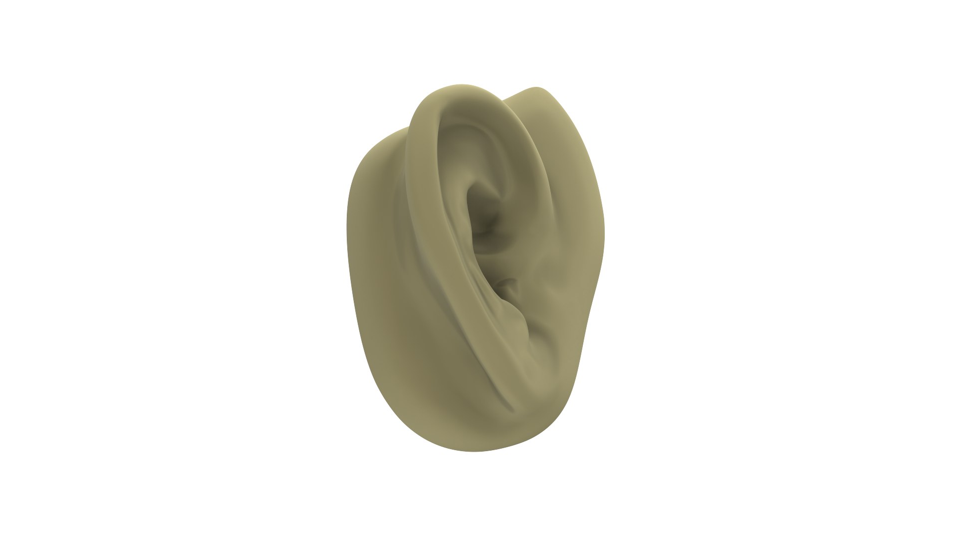 Human Ear 3D https://p.turbosquid.com/ts-thumb/Zt/VD5fBz/8p/untitled.13276/png/1775175067/1920x1080/fit_q87/5a5c37be770f939778ce2e6f58d25f1487d0a521/untitled.13276.jpg