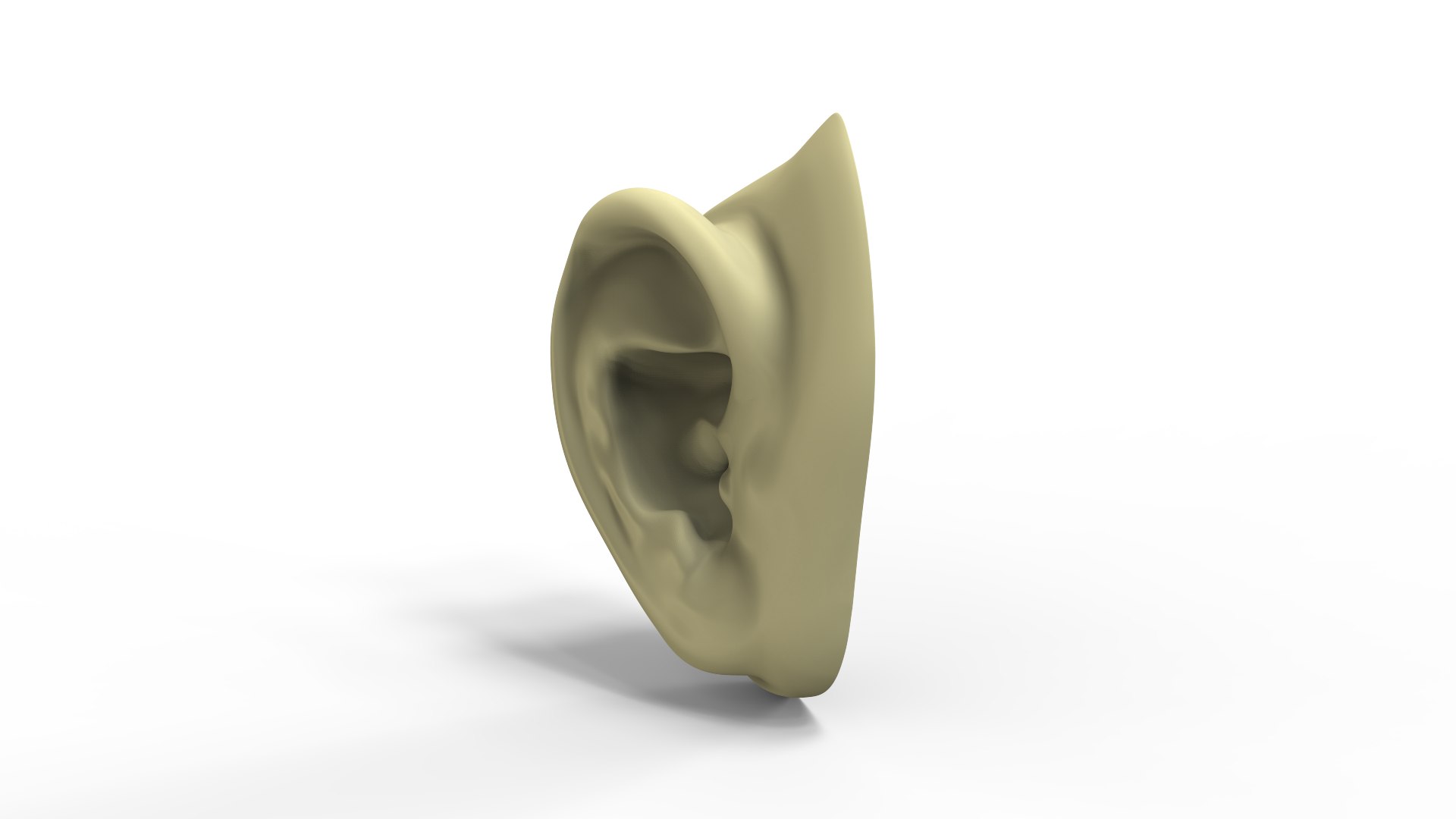 Human Ear 3D https://p.turbosquid.com/ts-thumb/Zt/VD5fBz/G5/untitled.13275/png/1775175067/1920x1080/fit_q87/01cb24d2beb0f97c99be8bc8c103400659a0e894/untitled.13275.jpg