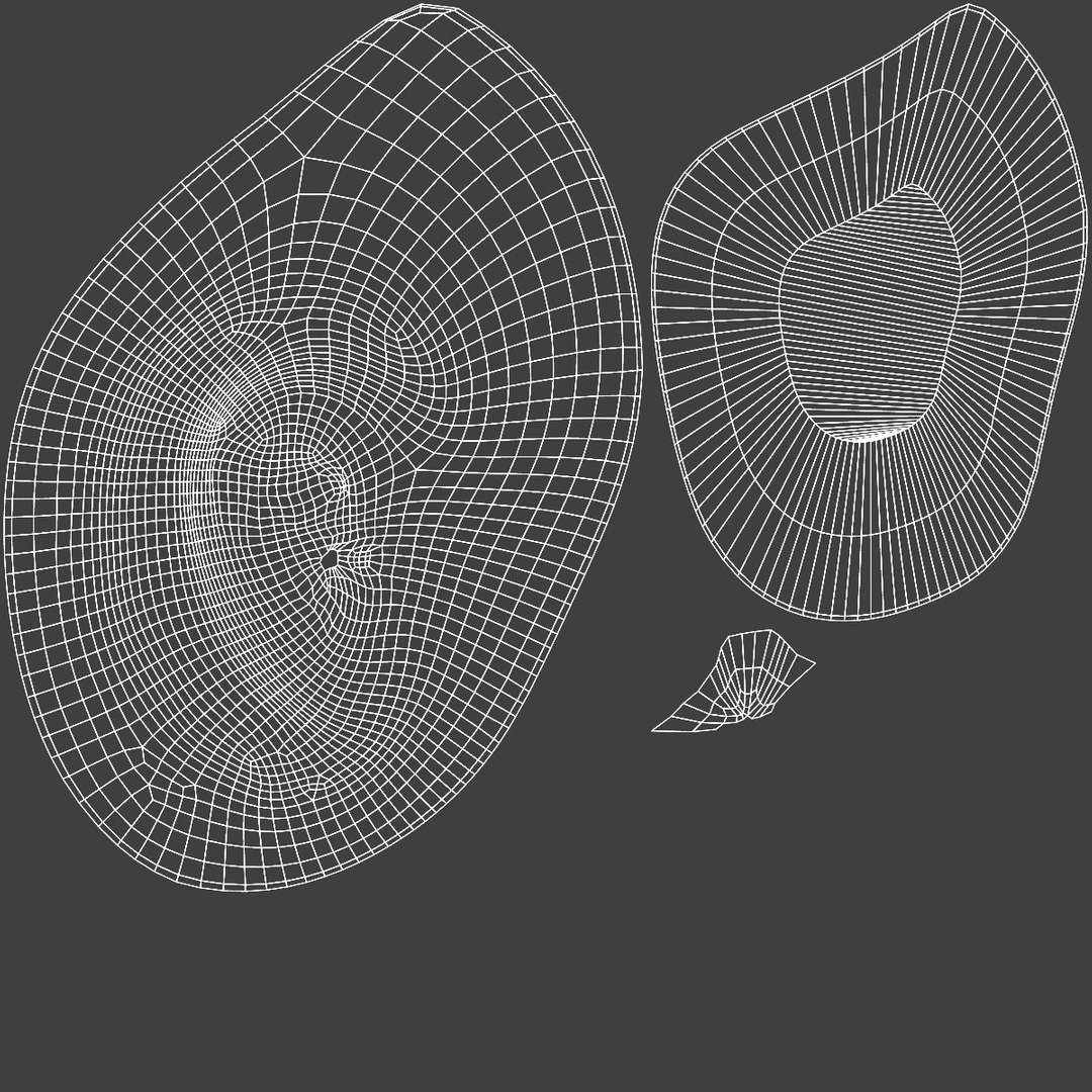 Human Ear 3D https://p.turbosquid.com/ts-thumb/Zt/VD5fBz/y1/uv/jpg/1775177998/1920x1080/fit_q87/6dde9ce5ffc86a2d5b2de2e4368c3ee665f4e0e2/uv.jpg