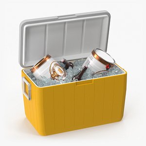 Portable Cooler with Beer Kegs and Ice model