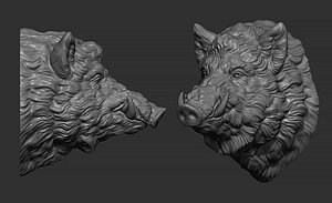 3D model Wild boar head