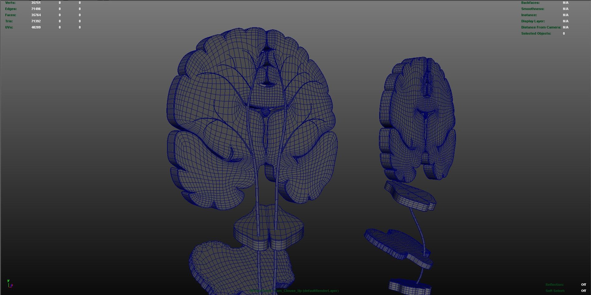 3d model motor areas brain