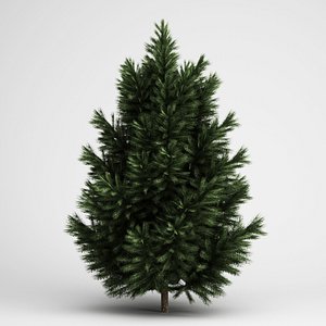 CGAxis European Black Pine 23
