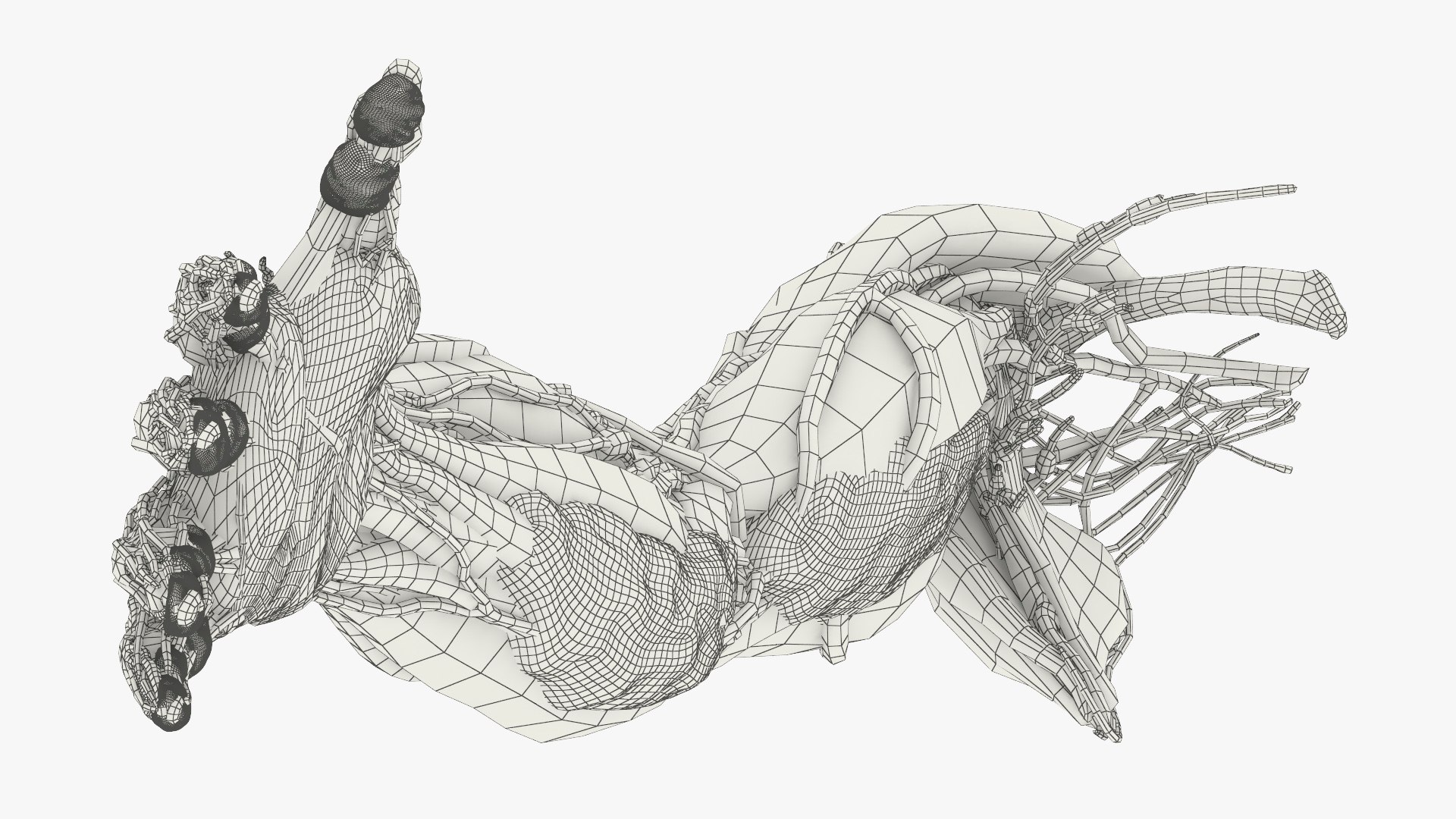 3D Model Human Arm Anatomy Model With Nerves And Fat - TurboSquid 2450304