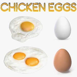 Chicken Eggs 3D Models Collection