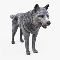 Wolf Low Poly