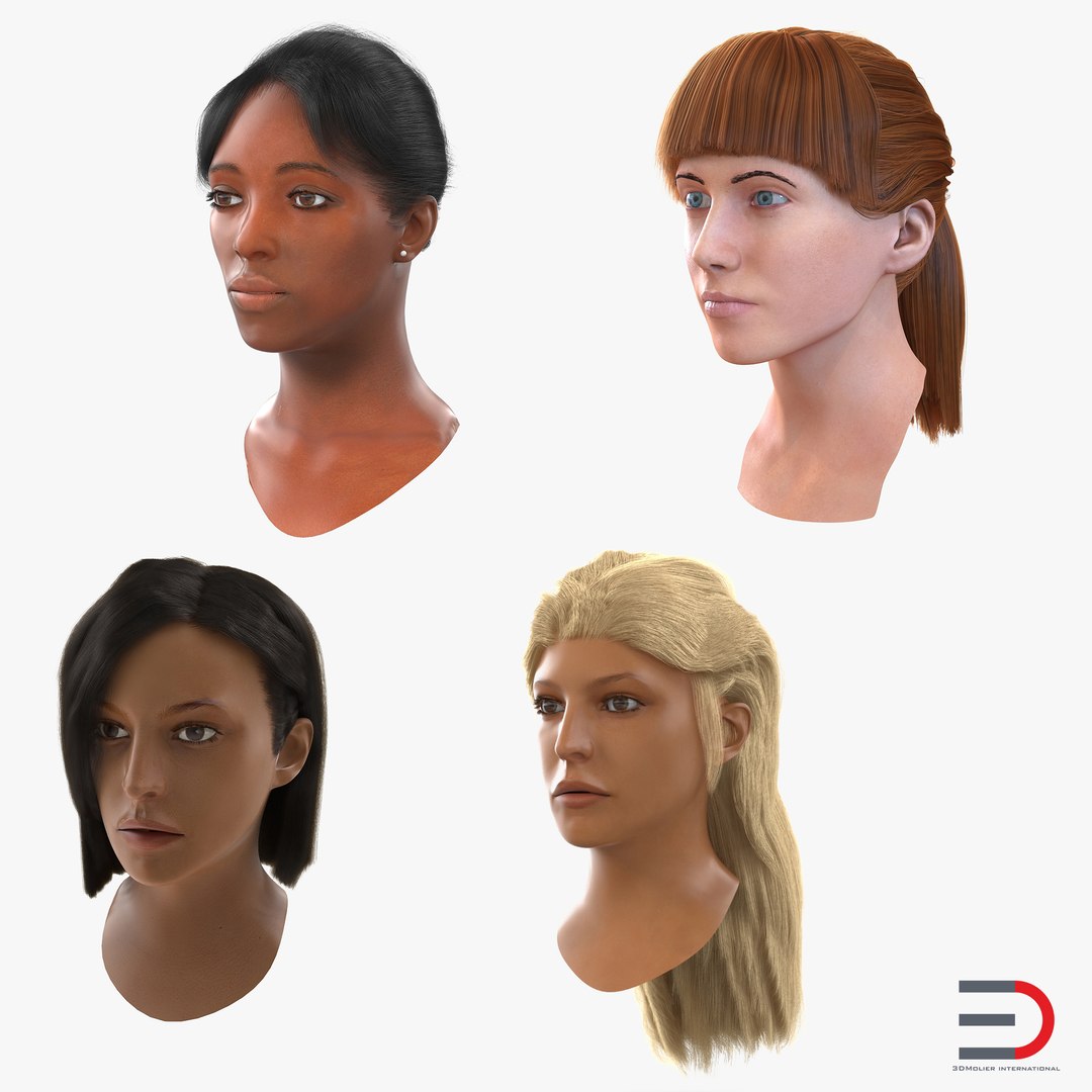 Female Heads Collection 3D model preview