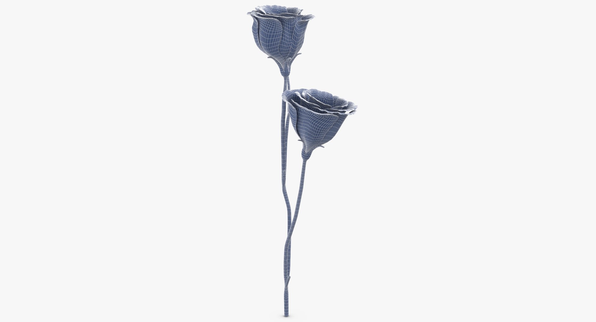 3D eustoma purple - https://p.turbosquid.com/ts-thumb/Zv/5eHkO8/9T1tGeK5/eustoma_purple_wireframe_0002/jpg/1550066098/1920x1080/fit_q87/005a240cd54ca5da66826645bf18c6eb1220441b/eustoma_purple_wireframe_0002.jpg