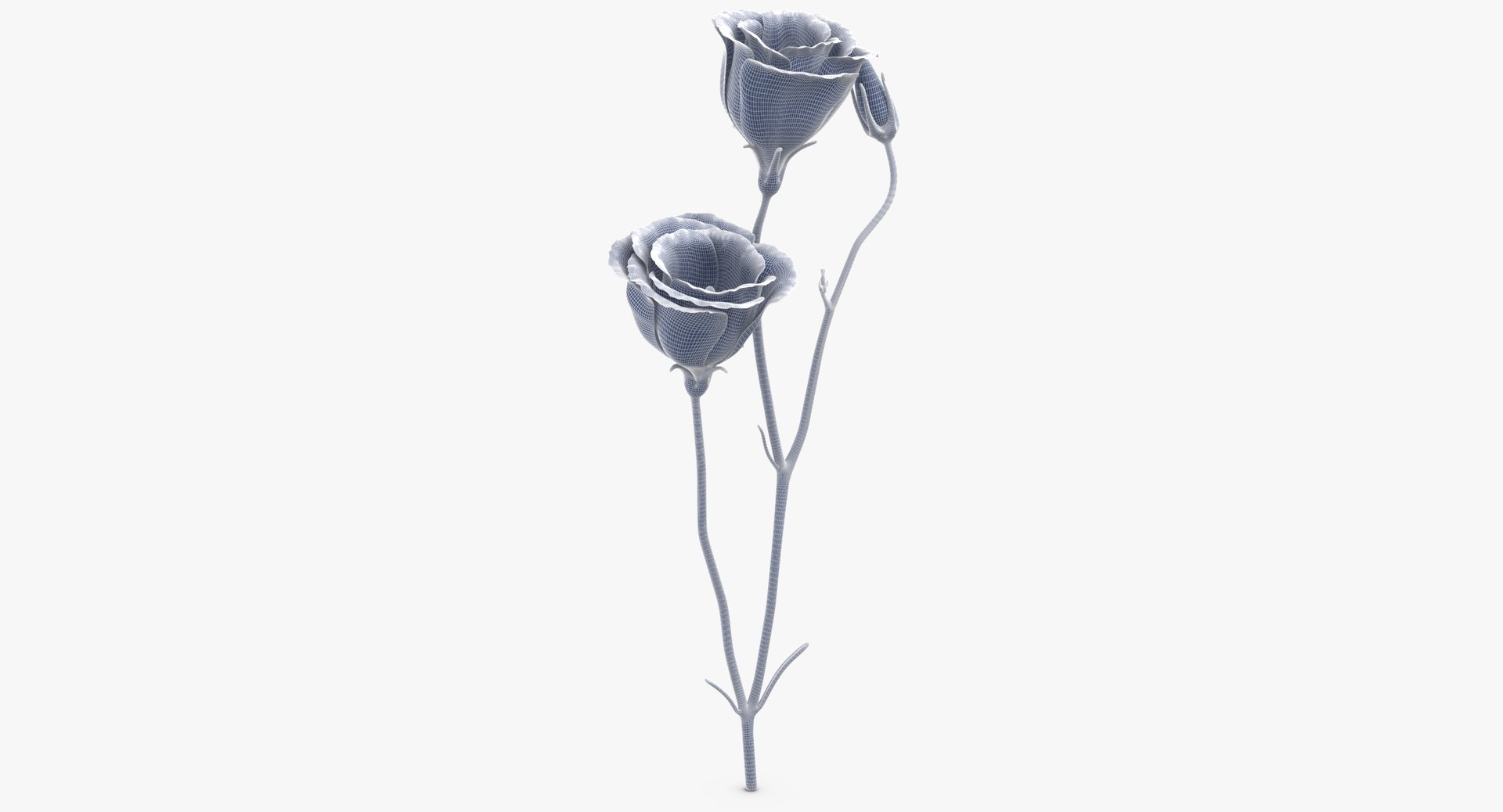 3D eustoma purple - https://p.turbosquid.com/ts-thumb/Zv/5eHkO8/TumpWERB/eustoma_purple_wireframe_01_0003/jpg/1550066098/1920x1080/fit_q87/c40fa7950a42b66d05763fafe1ed67563a60b5de/eustoma_purple_wireframe_01_0003.jpg