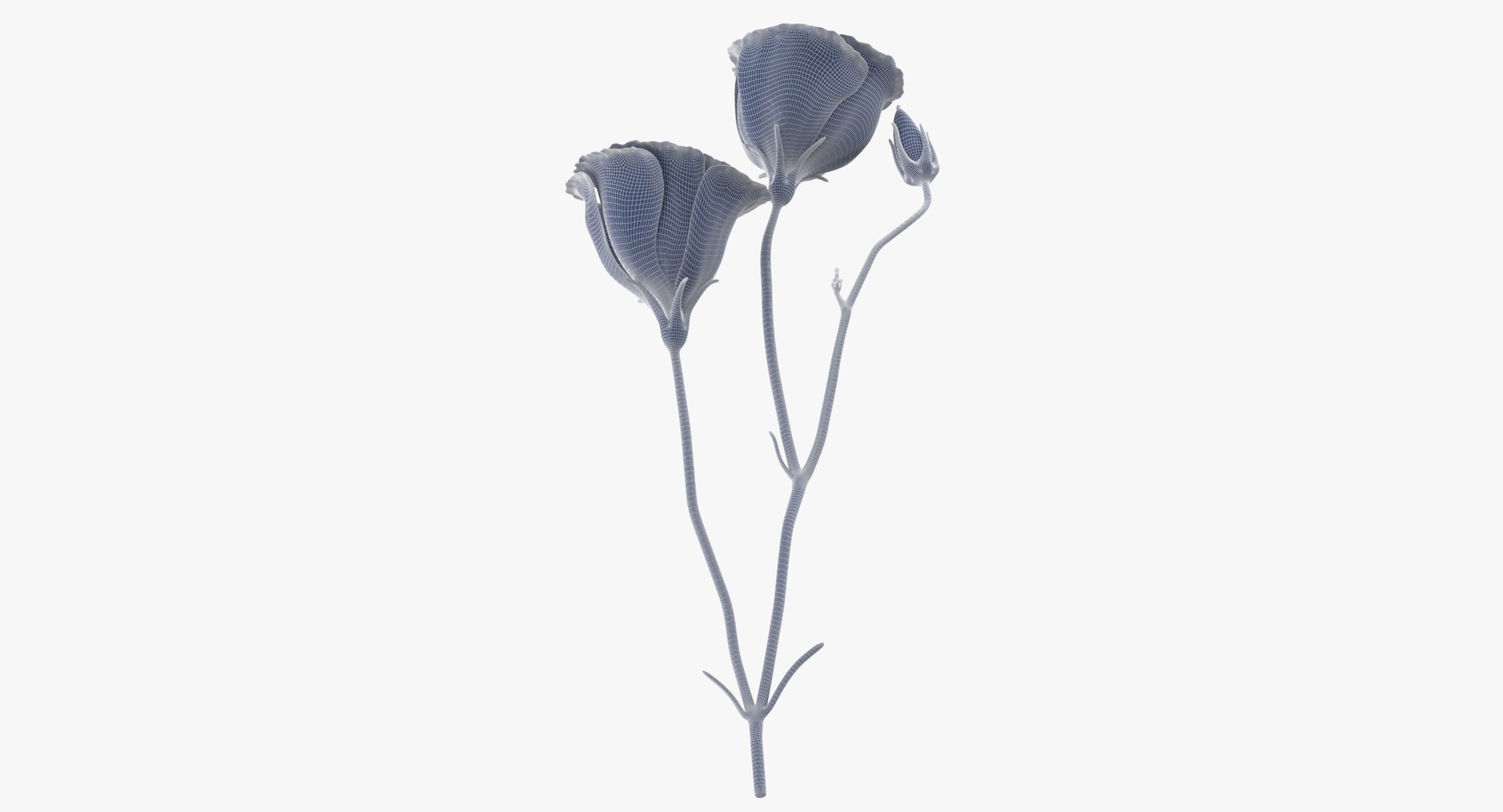 3D eustoma purple - https://p.turbosquid.com/ts-thumb/Zv/5eHkO8/WWZCpj2v/eustoma_purple_wireframe_01_0007/jpg/1550066098/1920x1080/fit_q87/2e15b74cca2b4a61ea17b437a95a5825bfb2e824/eustoma_purple_wireframe_01_0007.jpg