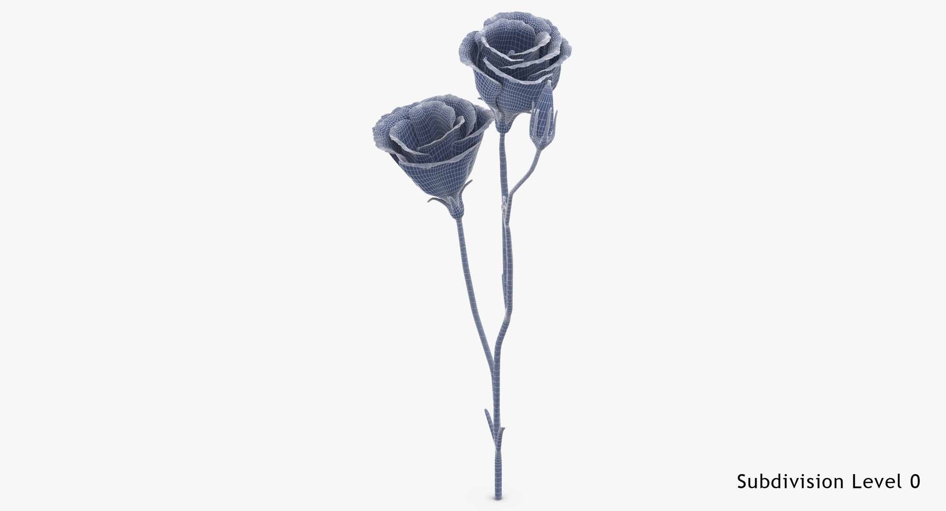 3D eustoma purple - https://p.turbosquid.com/ts-thumb/Zv/5eHkO8/WcoUVPK9/eustoma_purple_wireframe_subdiv_0/jpg/1550066098/1920x1080/fit_q87/b303e0f92b03d2b26b3a7ad33676cea50890785b/eustoma_purple_wireframe_subdiv_0.jpg