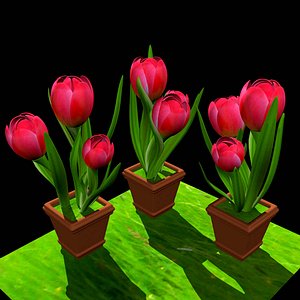 3d model vase tulip