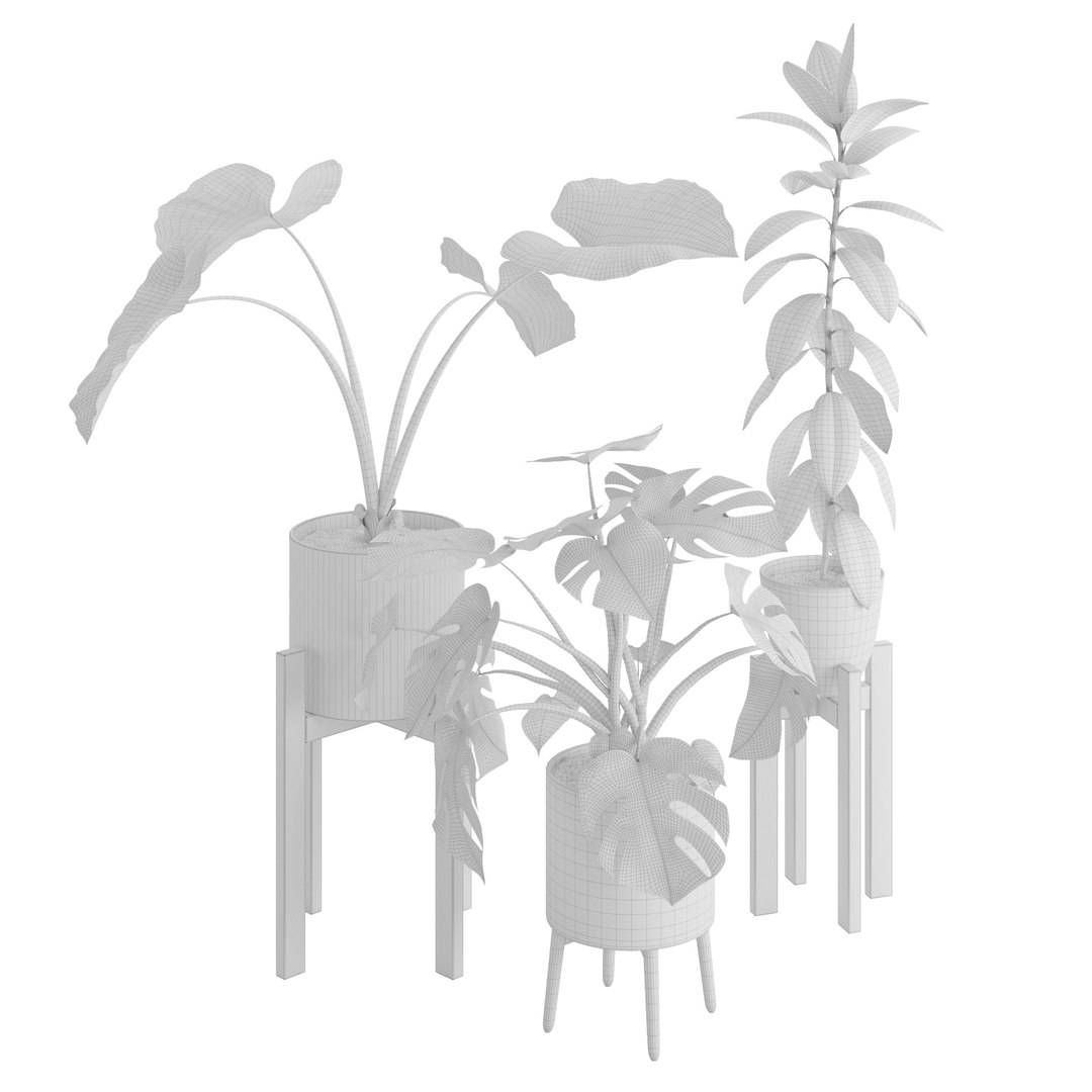 Houseplant72Coronamax 3D https://p.turbosquid.com/ts-thumb/Zv/IxdDuT/CU/2/jpg/1644218551/1920x1080/fit_q87/8b5d769b2eb2389019d7fbd019bd7410ba49a0a1/2.jpg